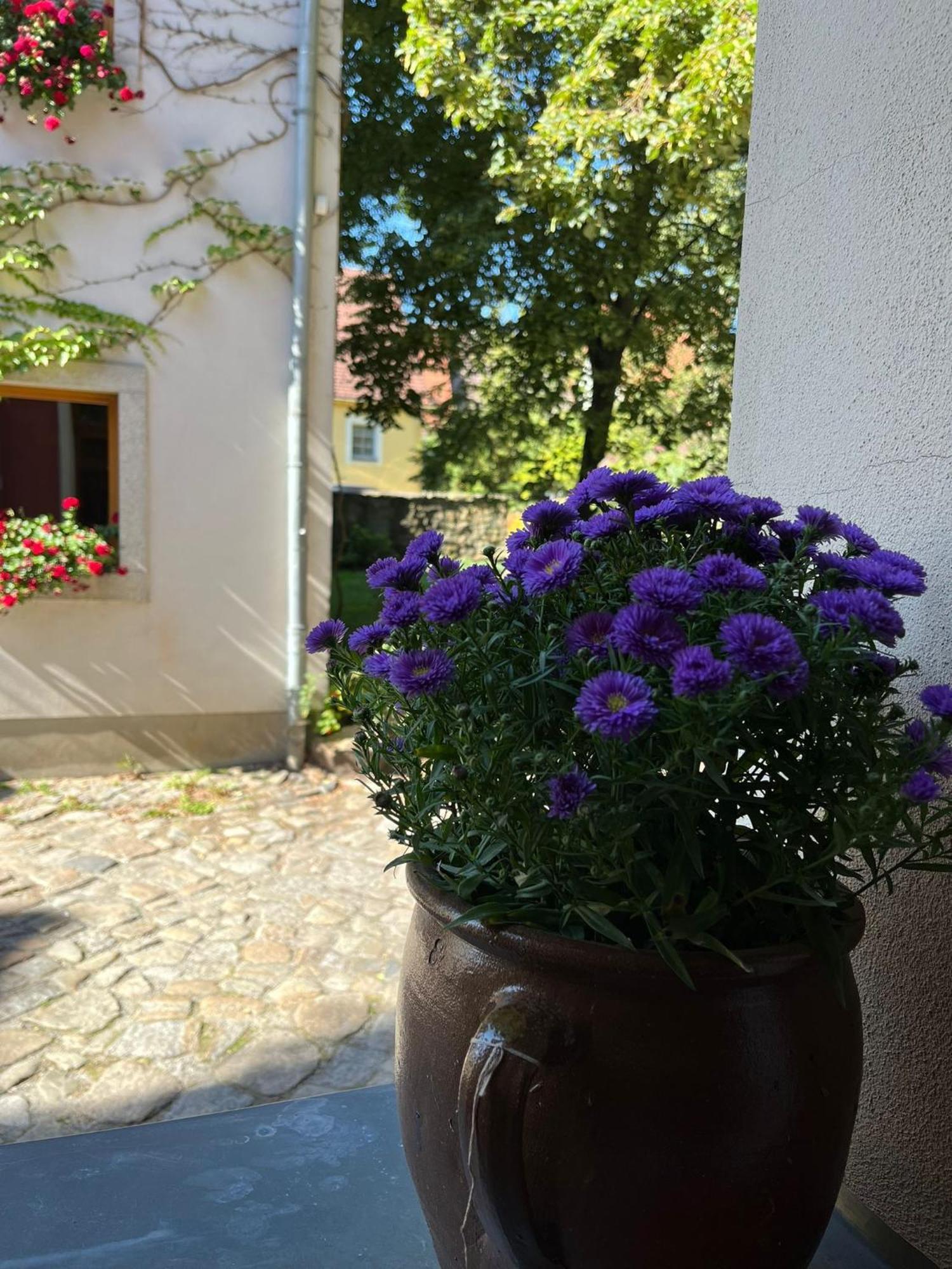 באוטזן Appartement 5 Predigergasse מראה חיצוני תמונה